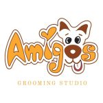 Изображение на профила за Деница Георгиева